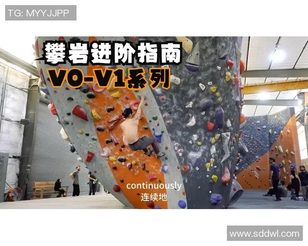 从零起步到高手：全面掌握攀岩技巧与状态调整指南